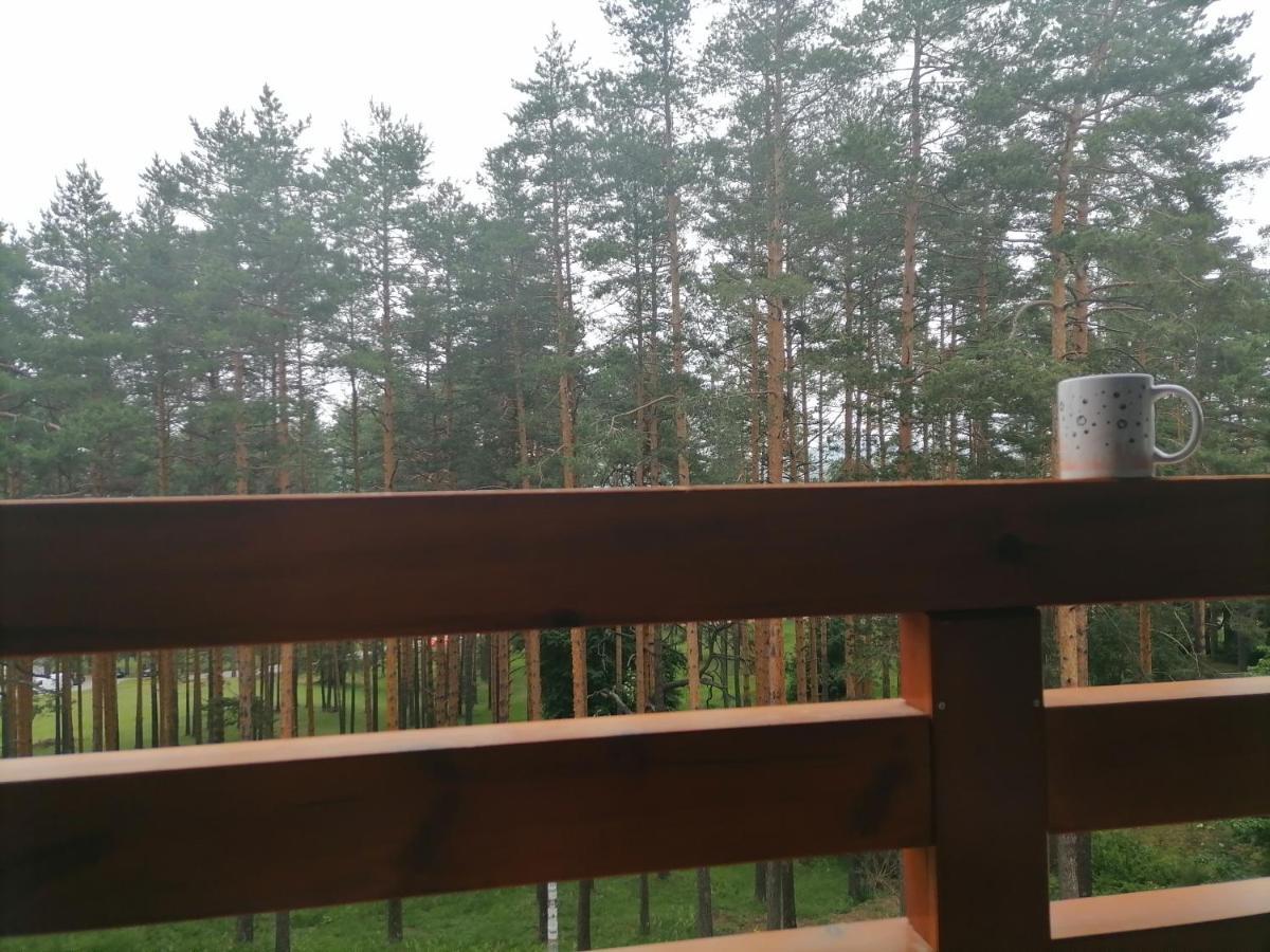 Apartman Nele Zlatibor Buitenkant foto
