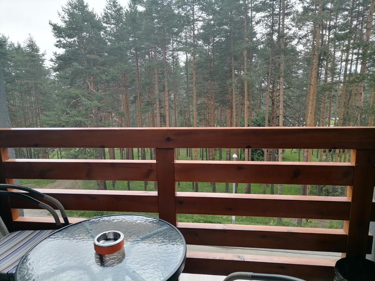 Apartman Nele Zlatibor Buitenkant foto